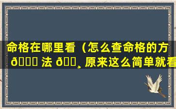 命格在哪里看（怎么查命格的方 🐋 法 🕸 原来这么简单就看出来了）